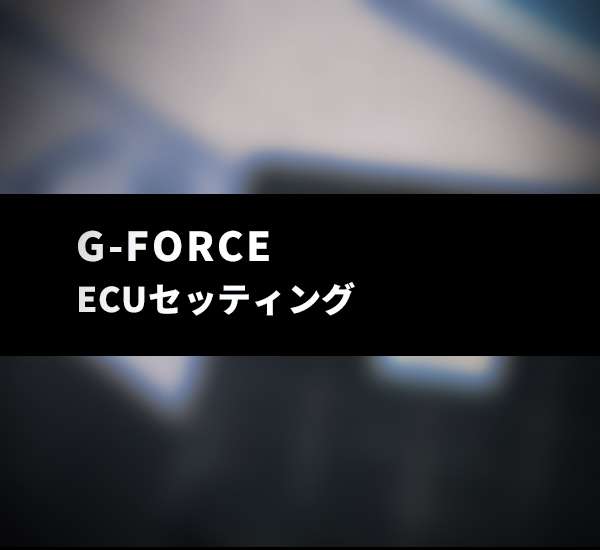 【販売買い】G-FORCE　ECU ホビーラジコン
